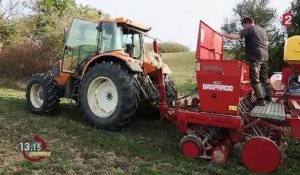 13h15. Agriculture : pour une couverture végétale permanente de la terre