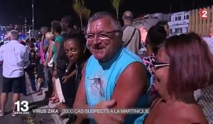 Virus Zika : en plein carnaval, la Martinique ne cède pas à la psychose