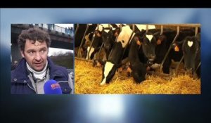 Agriculteurs: "Je perds aujourd'hui 7 centimes d'euros par litre de lait"