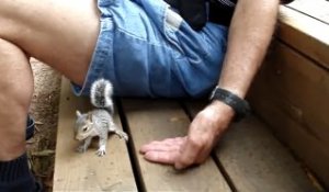 Cet homme a un nouvel ami : une bébé écureuil trop mignon