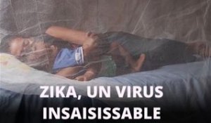 Le virus Zika sexuellement transmissible ?
