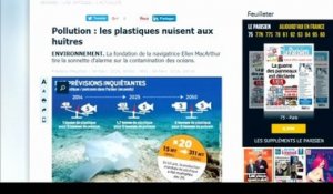Pollution: les plastiques nuisent aux huîtres