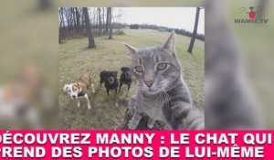 Découvrez Manny : le chat qui prend des photos de lui-même ! Tout de suite dans la minute chat #127