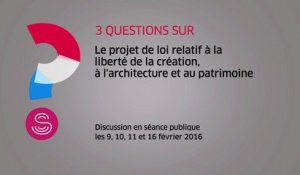 [Questions sur] Le PJL relatif à la liberté de la création, à l'architecture et au patrimoine
