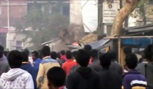 Un éléphant fait irruption dans une ville indienne