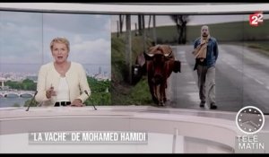 Cinéma - « La vache » de Mohamed Hamidi - 2016/02/11