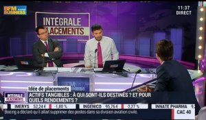 Idées de placements: Faut-il investir dans les actifs tangibles ? - 11/02