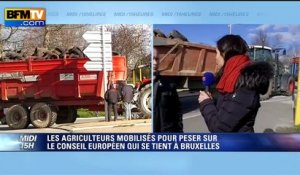 Agriculteurs en colère: la FRSEA veut "que ce nouveau gouvernement se bouge"