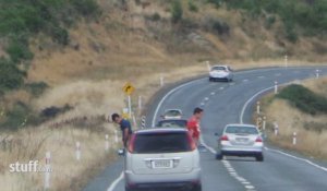 Des français en Nouvelle-Zélande pissent par la fenêtre de leur voiture