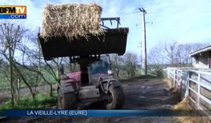 Le bio peut-il sauver l'agriculture française?
