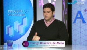 Rodrigo Bandeira-de-Mello, Xerfi Canal Politique et stratégies de lobbying