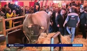 Salon de l'agriculture : François Hollande hué et insulté