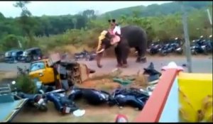 Inde : un éléphant en colère détruit un tuk-tuk avec ses défenses