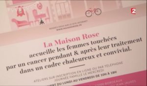 Beauté - La maison rose à Bordeaux - 2016/03/05