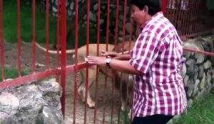 Une femme demande un câlin à un très gros lion