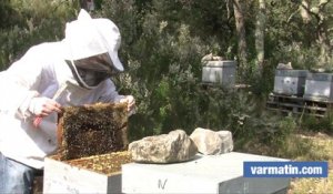 Et si vous parrainiez une ruche pour sauver les abeilles ?