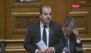 Constitutionnalisation de l’état d’urgence : « une affaire de communication » pour David Rachline (FN)