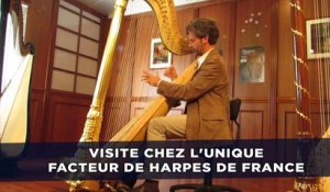 Visite chez l'unique facteur de harpes de France