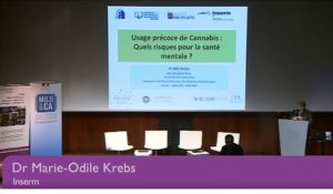 Colloque Jeunes et cannabis 11 février 2016 – Intervention du Dr Marie-Odile KREBS, PhD, Inserm