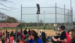 Une mascotte de Baseball frôle la catastrophe pour faire plaisir aux gamins.