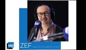 ZEF-Chassez le naturel