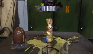 Un lapin de pâques passé à la presse hydraulique avec des oeus