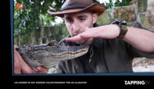 Un homme se fait mordre volontairement par un alligator, les images chocs (vidéo)