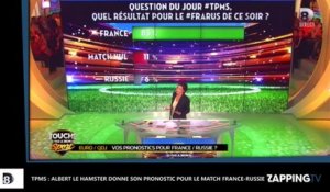 TPMS : Albert le Hamster donne son pronostic pour le match France Russie