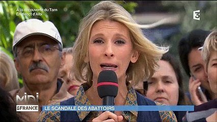 Scandale Des Abattoirs Le Coup De Gueule Emouvant D Helene Gateau Dans Midi En France Sur Orange Videos