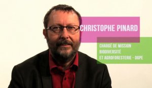 Le développement de l'agroforesterie - Christophe Pinard