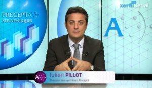 Julien Pillot, Xerfi Canal Comprendre la courbe d’expérience