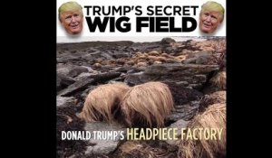 On a retrouvé la réserve de perruques de Donald Trump !