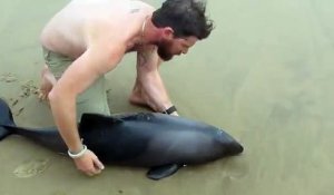 Un moniteur de kayak remet un petit dauphin à la mer