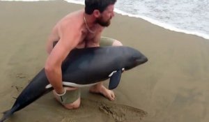 sauvetage d'un dauphin