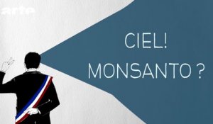 Ciel ! Monsanto ? - DESINTOX - 25/04/2016