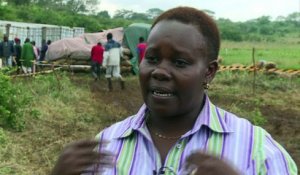 Le Kenya se mobilise contre le commerce illégal d'ivoire