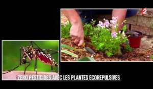 Jardin - Des plantes écorépulsives - 2016/04/30