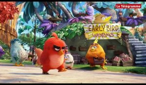 Angry Birds - Bande annonce