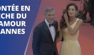 Julia Roberts et George Clooney illuminent Cannes