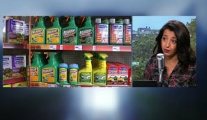 Glyphosate: "On ne peut pas continuer d'empoisonner les citoyens" explique Karima Dalli