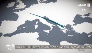 Crash EgyptAir : "pas d'hypothèses privilégiée"