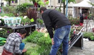 meru : Un salon du jardin bien animé en centre ville