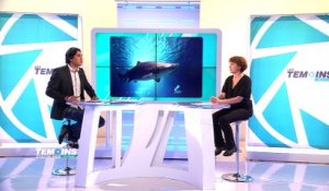 Corinne Bussi-Copin : "Le filet anti-requin peut-être une bonne solution" - LTOM