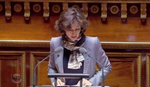 Discours d'Audrey Azoulay le 24 mai 2016 lors de l'examen du projet de loi création en 2e lecture
