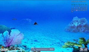 3D Marine Aquarium -  Démo vidéo