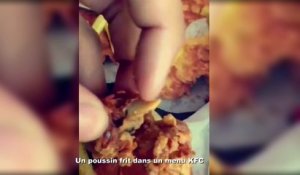 Un poussin frit dans un menu KFC