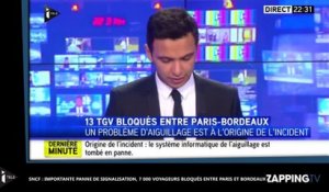 SNCF : Importante panne de signalisation, 7 000 voyageurs bloqués entre Paris et Bordeaux (Vidéo)