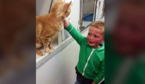 Ce garçon retrouve son ami chat perdu il y a 1 an et demi. Sa réaction est très émouvante