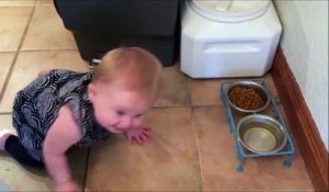 Ce bébé veut voler la bouffe du chien