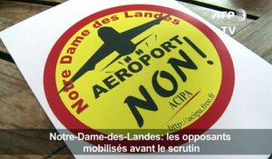 Notre-Dame-des-Landes: les opposants mobilisés avant le scrutin